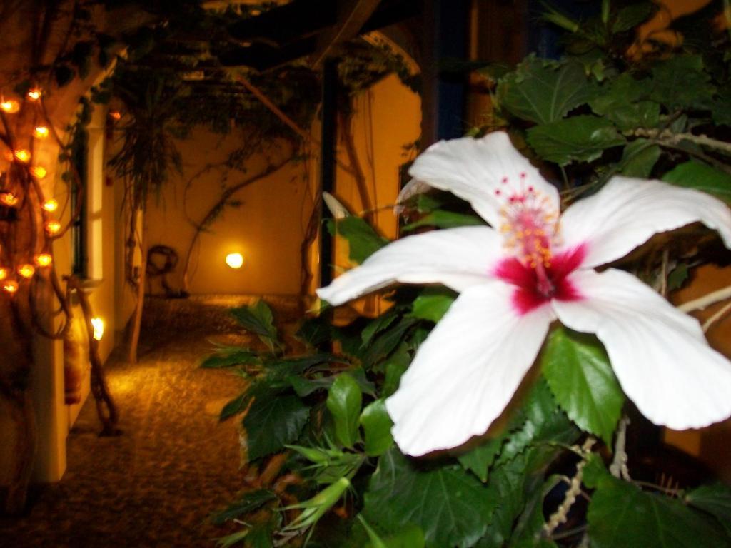 פריסה Villa Spyros Santorini מראה חיצוני תמונה